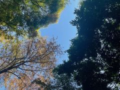 -深圳国际园林花卉博览园