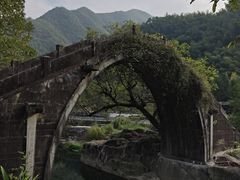 -鹿亭中村