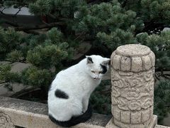 -西园戒幢律寺