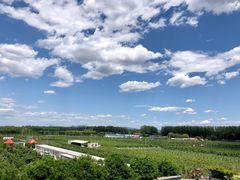 -河北村民俗体验园