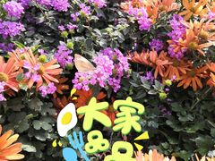 -汇龙潭
