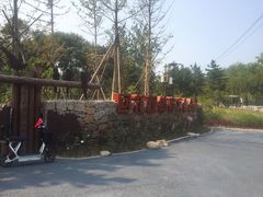 -回龙观体育文化公园