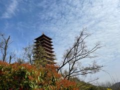 -牛首山文化旅游区