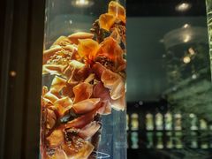 -广东中医药博物馆