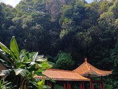 -广州市帽峰山景区