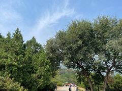 -北京西山国家森林公园