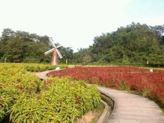 android_upload_pic-德庆盘龙峡生态旅游区