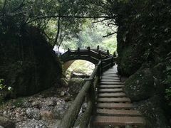 -青城山