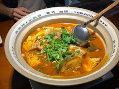 千岛湖有机胖头鱼-魏铭鱼头捞饭(晋阳路店)