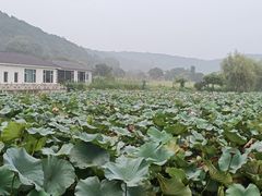 -龙寺生态园