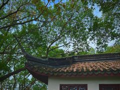 -上海佘山国家森林公园天马山园