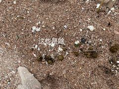 -青岛海景花园大酒店