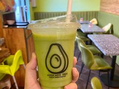 -油梨树AVOCADO TREE(顺义新国展店)