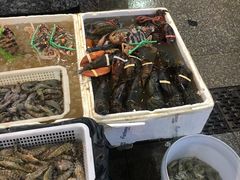 -华威西营里农产品批发市场