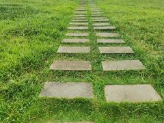 -桤木河湿地公园