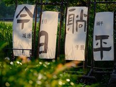 -佛手湖郊野公园