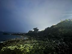 -龙头岩(Dragon Head Rock)