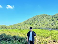 -中国茶叶博物馆(双峰馆区)