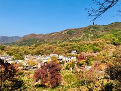 -塔川景区