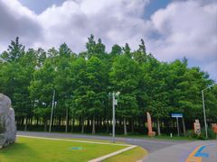 -上海长兴岛郊野公园