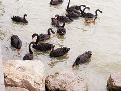 -天津东丽湖风景区