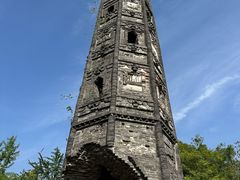 -上海佘山国家森林公园天马山园