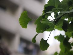-陕西师范大学(雁塔校区)