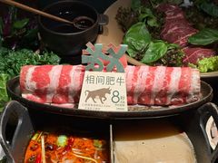 -大龙燚·旷野鲜火锅(广州首店)
