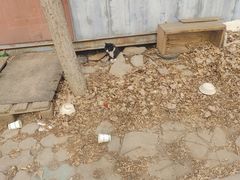 -北京德尔康尼骨科医院