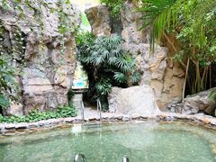 -龙熙温泉水世界