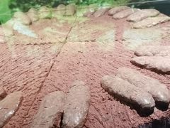 -中国地质博物馆