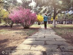 -辽宁大学(崇山校区)