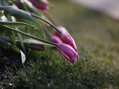 -无锡新湖铂尔曼大酒店