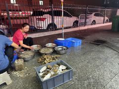 -花苑美食横琴生蚝火锅(拱北粤华路店)