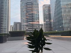 -凤凰湘语(浦东旗舰店)