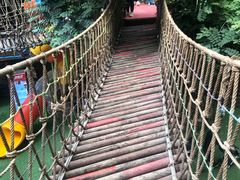 -呀路古热带植物园