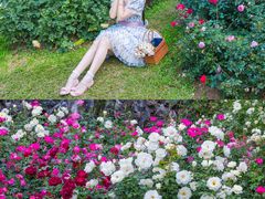 -人民公园(罗湖区)