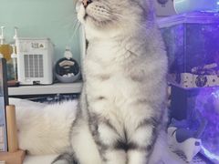 -平行世界·猫咖(首经贸店)