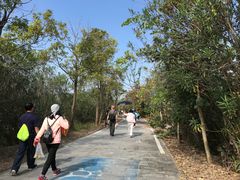 -大湾区中央湿地公园