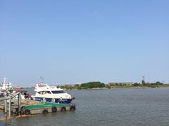 -大湾区中央湿地公园