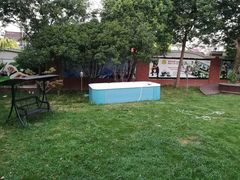 -翊宠yipet猫狗购宠庄园犬舍•猫舍