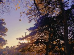 -长春市南湖公园