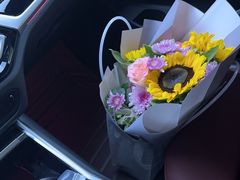 -天猫养车贴膜轻改·蓝电(优匹康桥东路店)