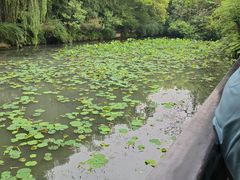 -三苏祠