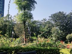 -院子君亭亚洲厨房花园餐厅