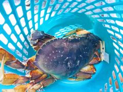 -范饭椰林川湘味海鲜·椰子鸡(三亚湾椰梦长廊店)