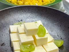 -九十九顶毡房(清河店)