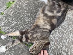 -宝通禅寺