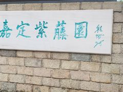 -嘉定紫藤园