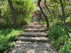-浮山香苑